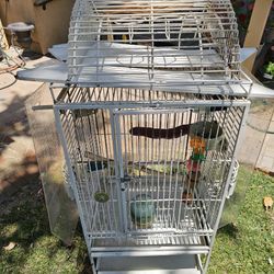 Cockatoo Bird Cage