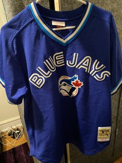 Blue Jays jersey (Large 44) #29