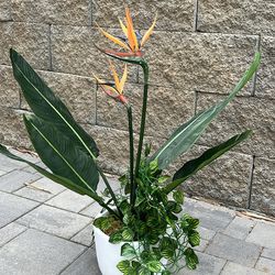 Fake/faux/silk/artificial Plant