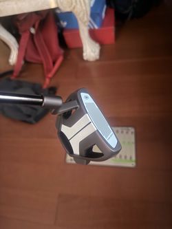 TaylorMade Spider Tour X