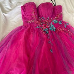 Pink Neblon Size Large Dress