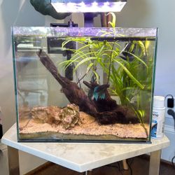 Fish Tank 5 Gallon 