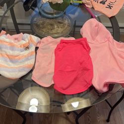 Extra small dog clothes