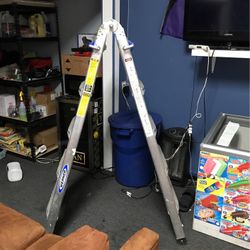 Multi Ladder Werner
