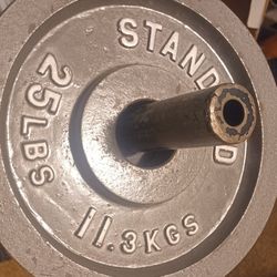Weight Plates 25lbs