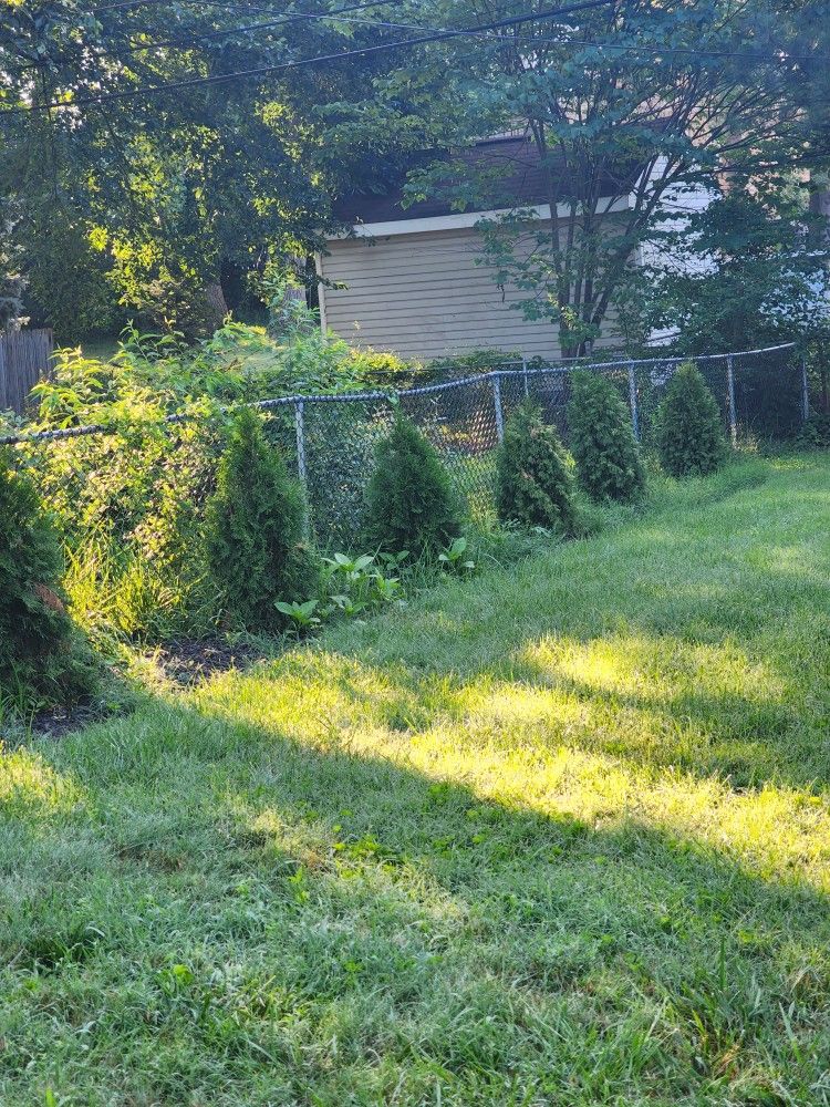 Evergreen Privacy Trees