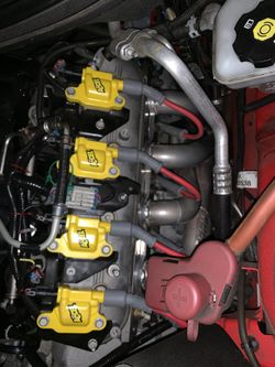 Ls3