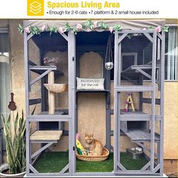 Catio