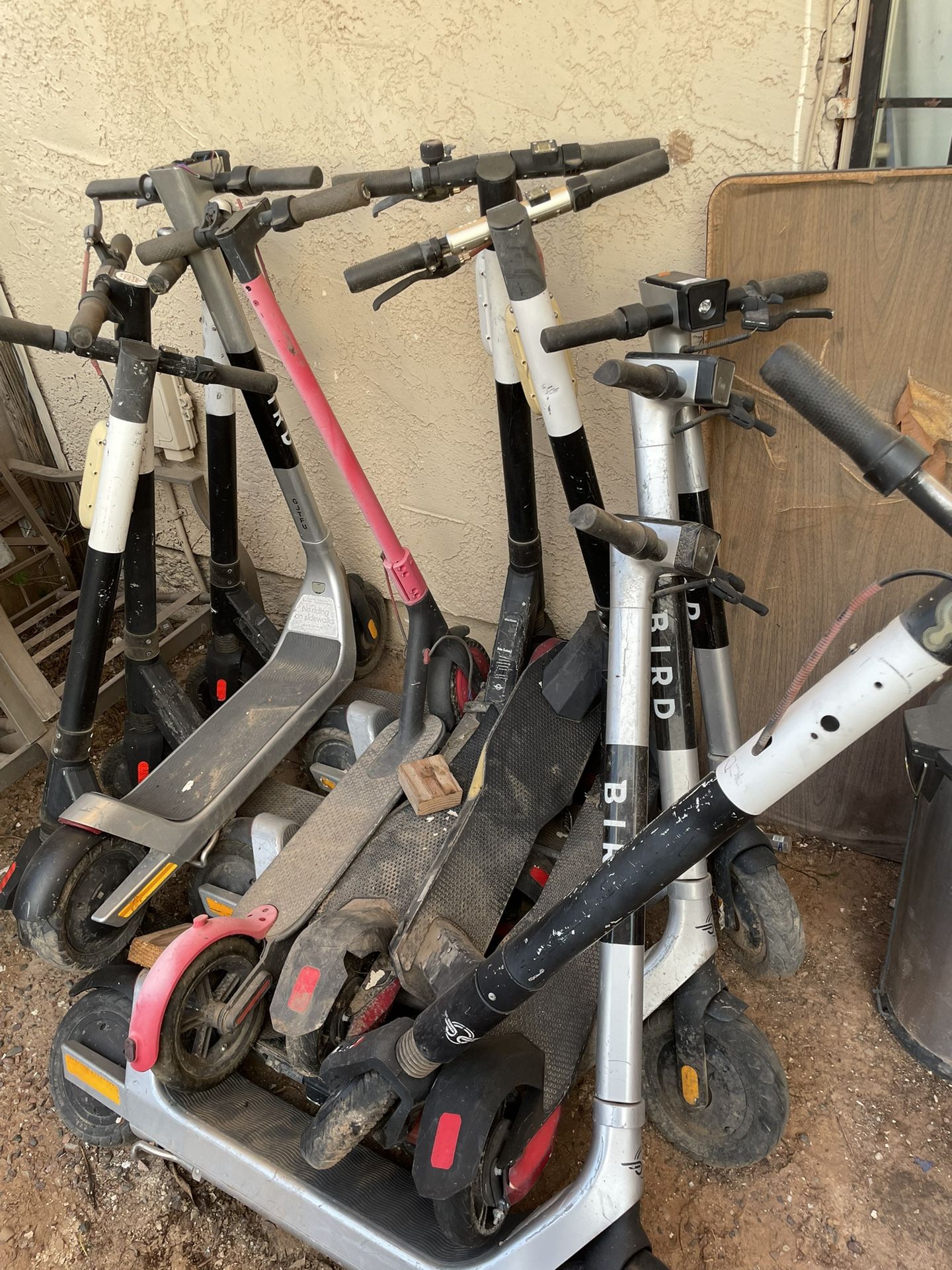 Byrd Scooters