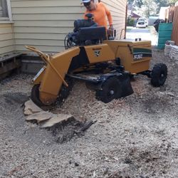 STUMP GRINDING