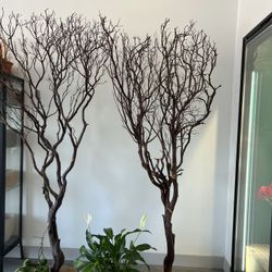 Decorative Trees For A Wedding Party