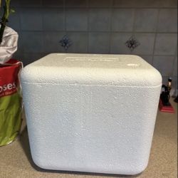 Small Styrofoam Cooler