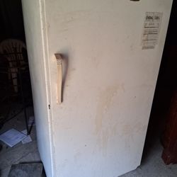Stand Up Freezer