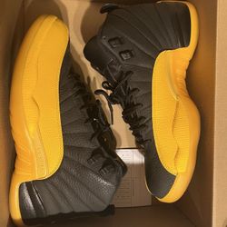 Jordan 12 Size 10.5