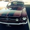 67 GT 500
