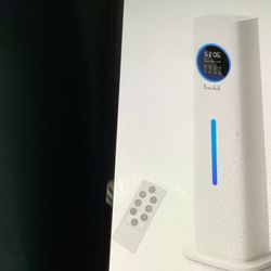 Humidifier With Essential Oil Diffuser