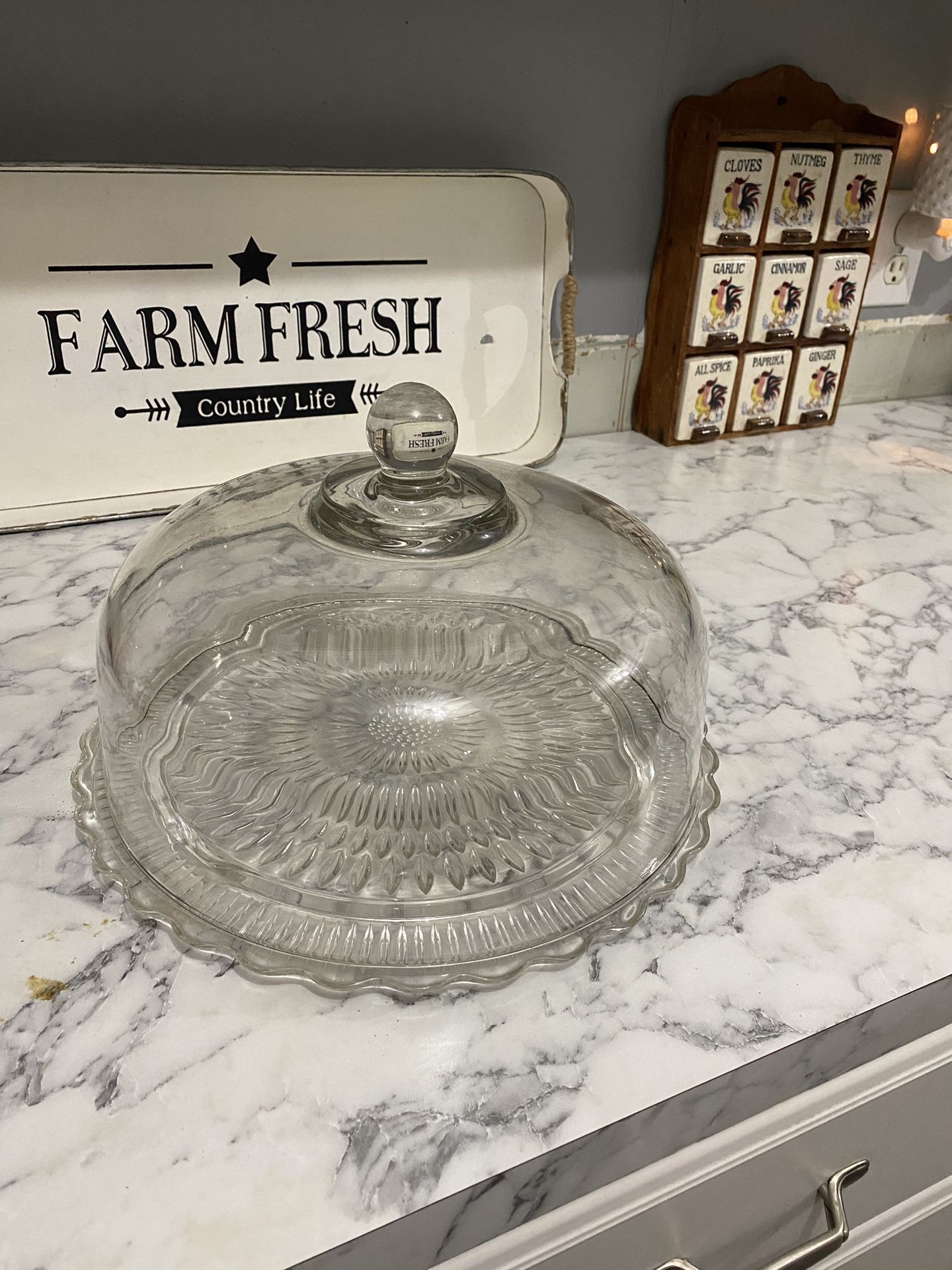 Glass Cake Cover