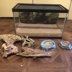 10 Gallon Lizard Tank 
