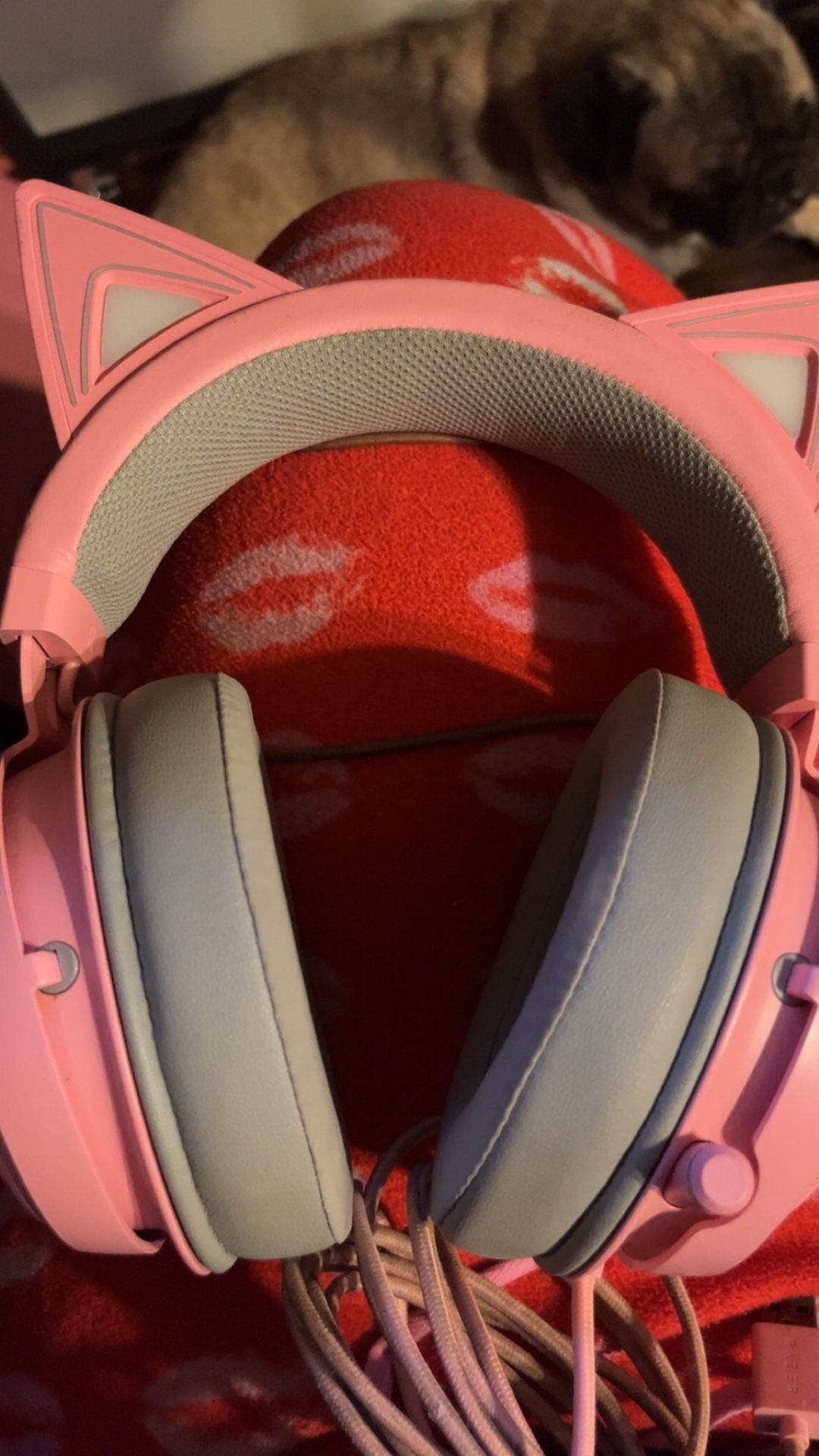Wired Kraken Kitty USB Headset