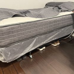 Individual Bed Frame and Base 