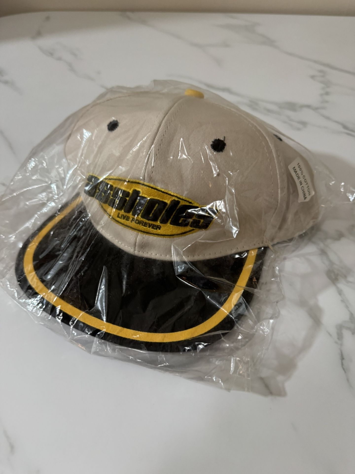 NWT Assh*les Live Forever SnapBack Hat
