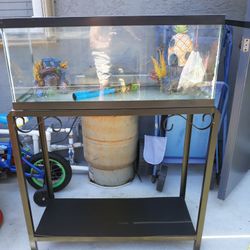 20 Gallon Fish/turtle Tank W/custom Steel Stand