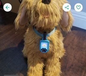 Moji Dog Plush Toy / Perrito Moji