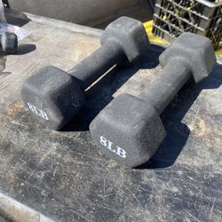 2-8lb Dumbbells 