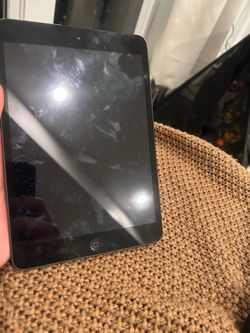 iPad mini 2