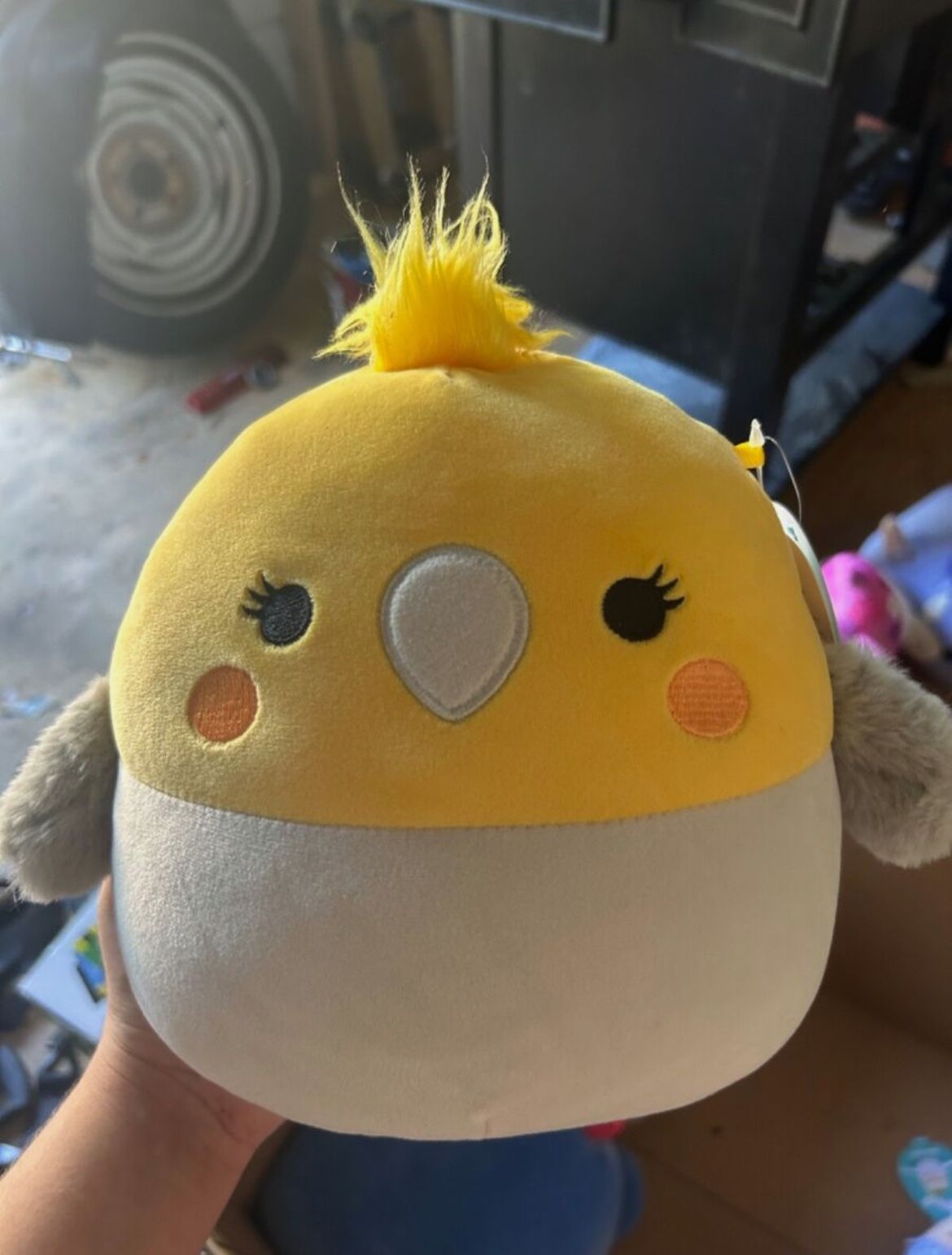 charlize the cockatiel squishmallow