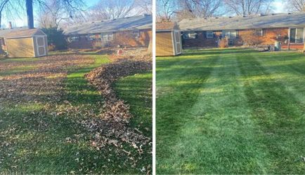 Yard clean