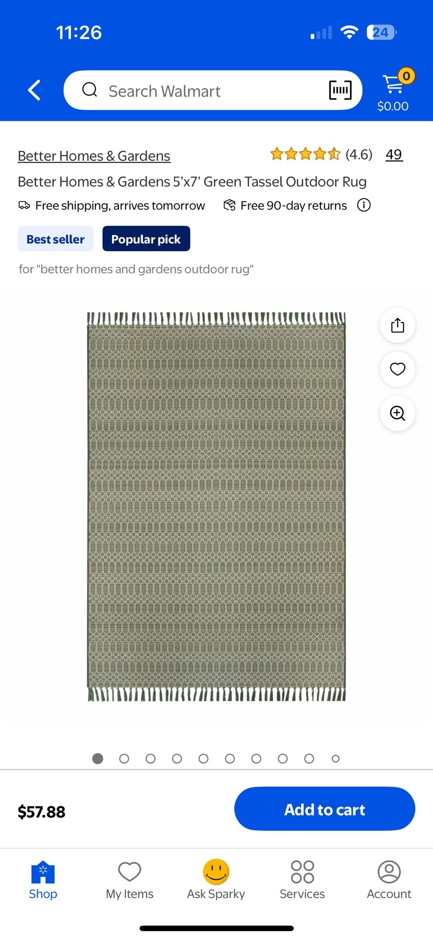 Outdoor Rugs