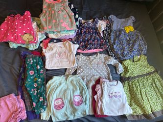 Baby Girl Clothes Bundle (31 pieces)– 9 Months (Carter’s & More)