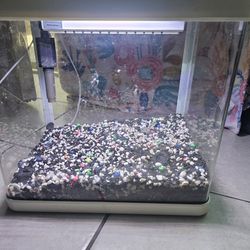 Small Aquarium 