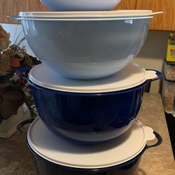 Tupperware 4 Qt. LARGE Bowl 1834 With Domed Lid 1865 Fuchsia for Sale in  San Jose, CA - OfferUp