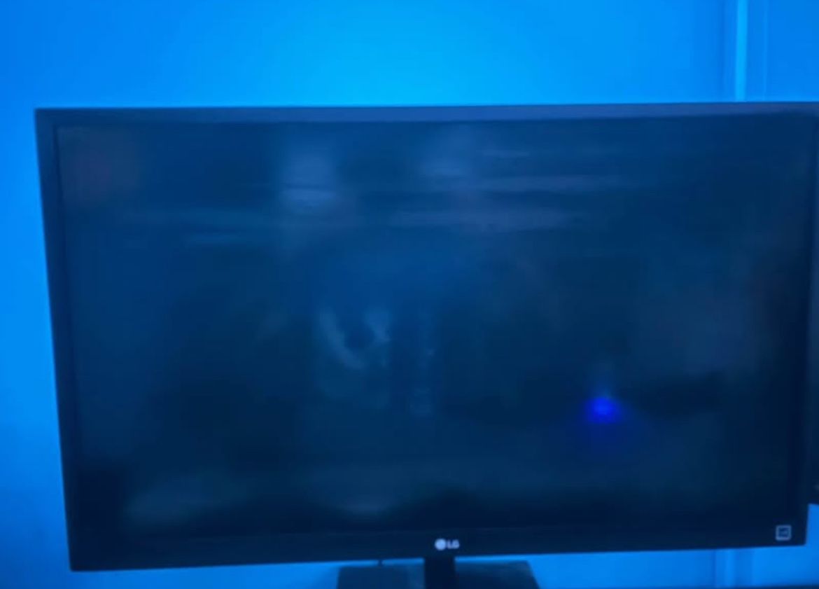 LG Monitor