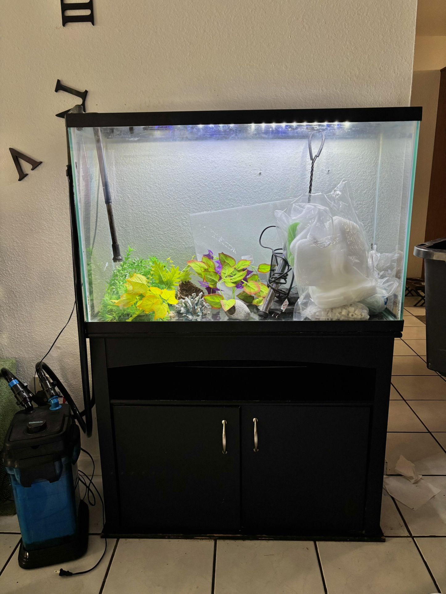 55 Gallon Fish Tank Full Set up