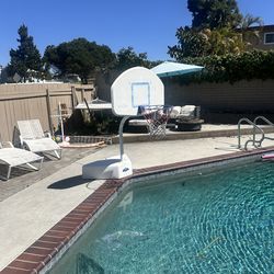 Basketball pool hoop