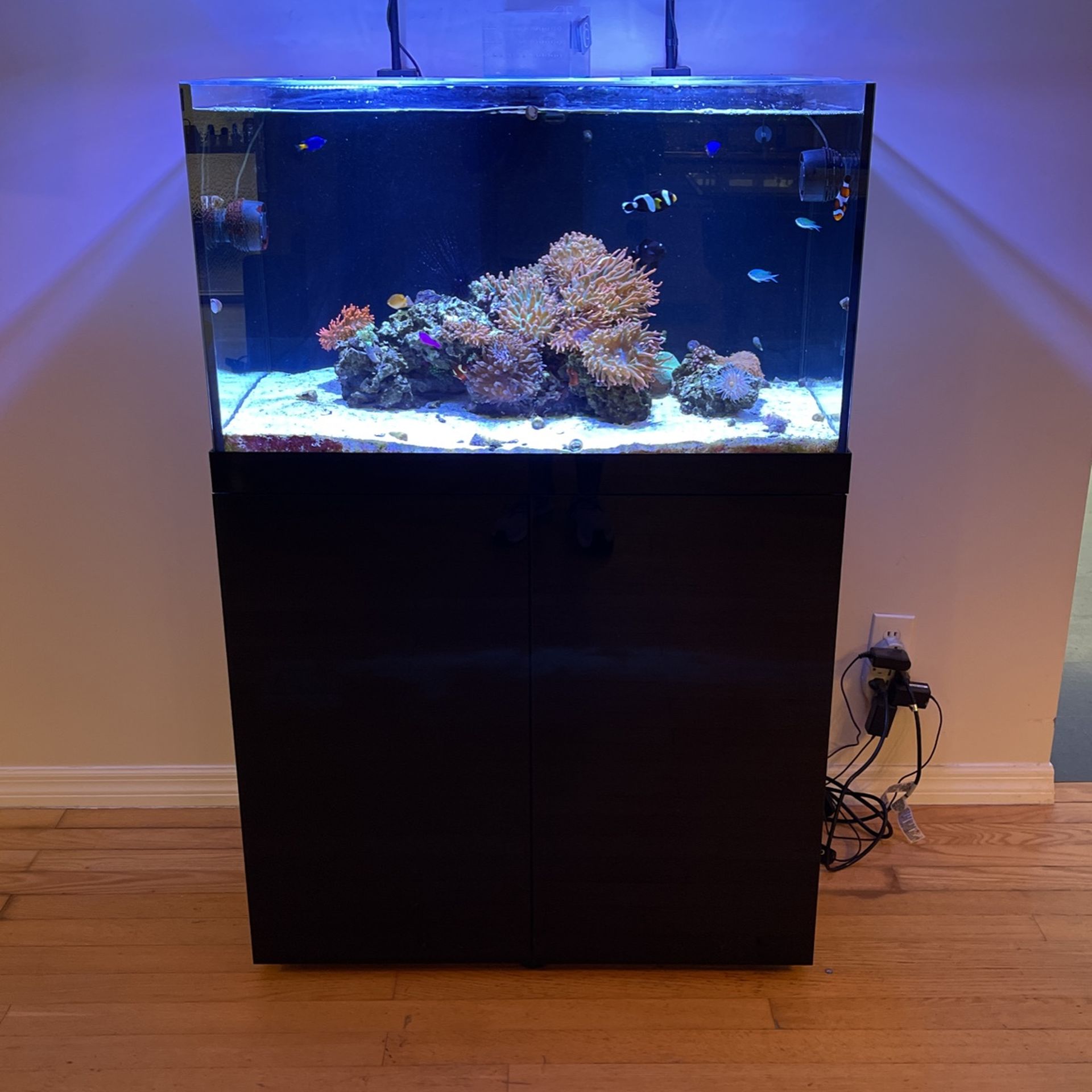 90 Gallon Prostar Rimless Saltwater Tank And Sump