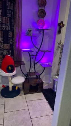 Cat tree plant shelves, cat Cal under it brand new in the box calculate inside that little slot and you can put anything else on the shelves