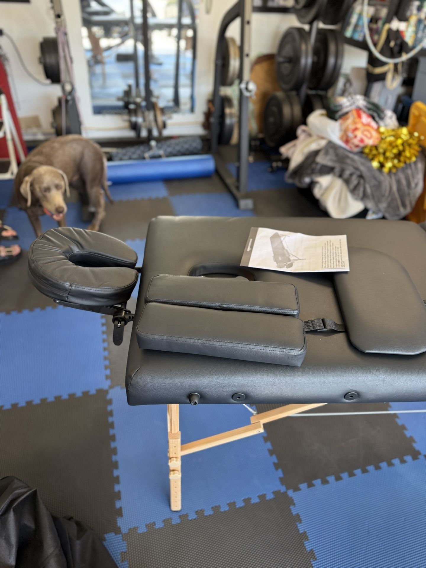 Portable Folding Massage Table with Carrying Case