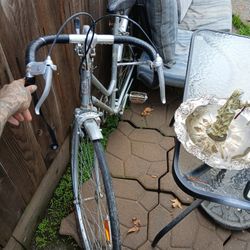 Nishiki Custom Japan Championship Bike