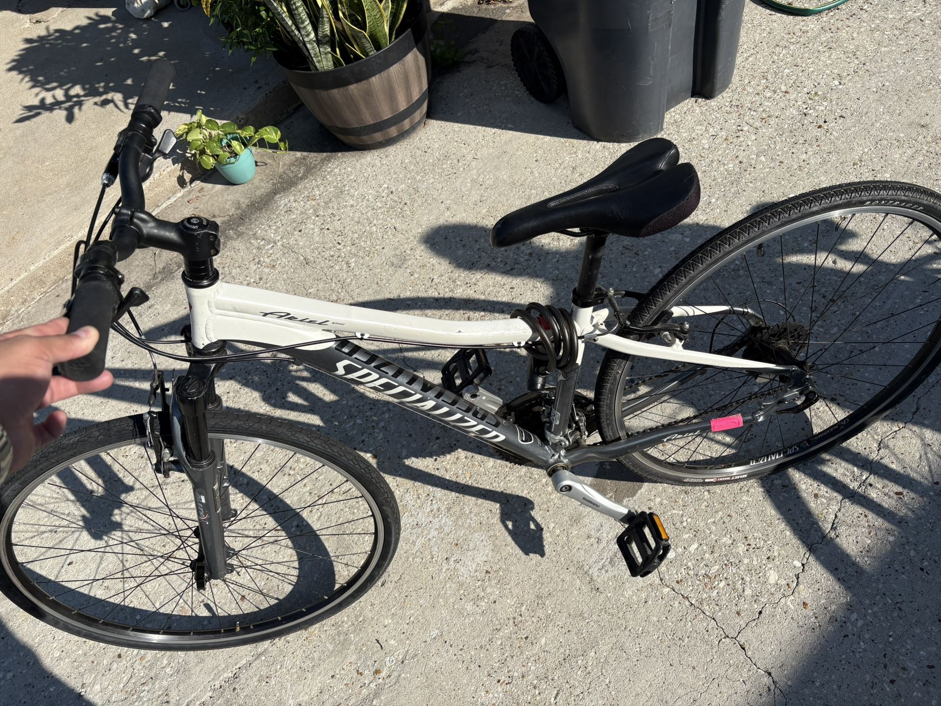 Specialized Woman Bike Small