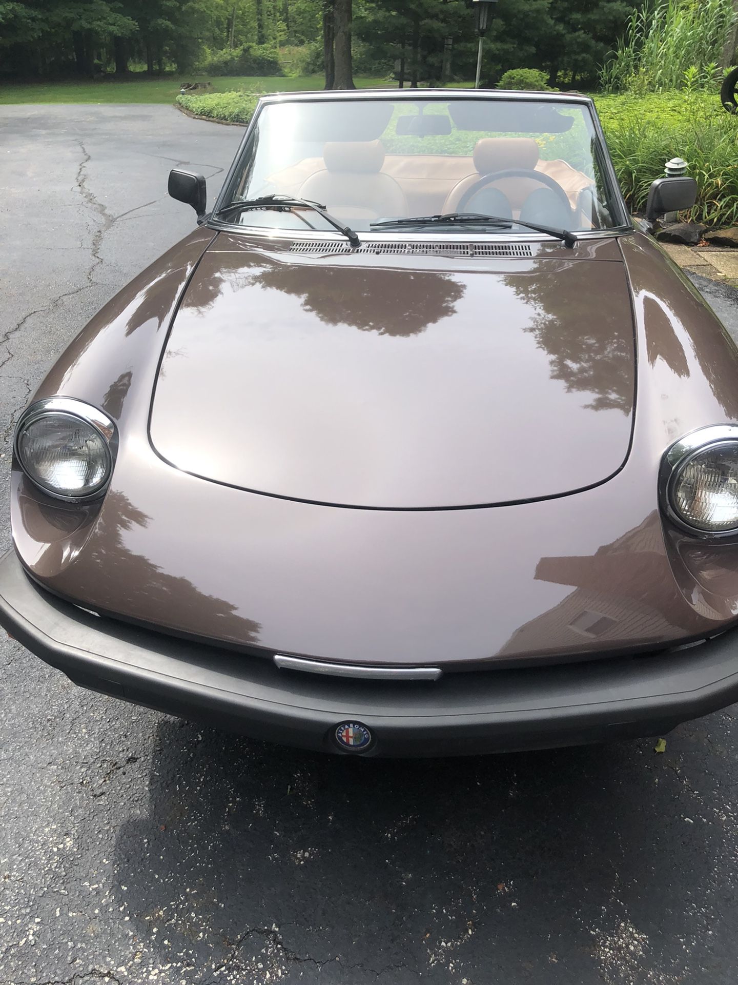 1979 Alfa Romeo Spider Perfect Condition 
