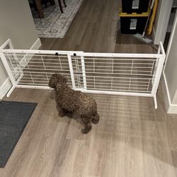 Doggy Gate