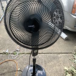 Fan 