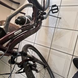 Trek  Bicycle in perfect condition