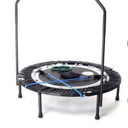 Rebounder best sale maximus pro