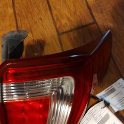Complete Tail Light Assembly 