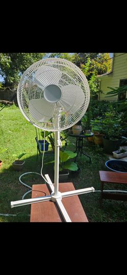 Fan(like new)